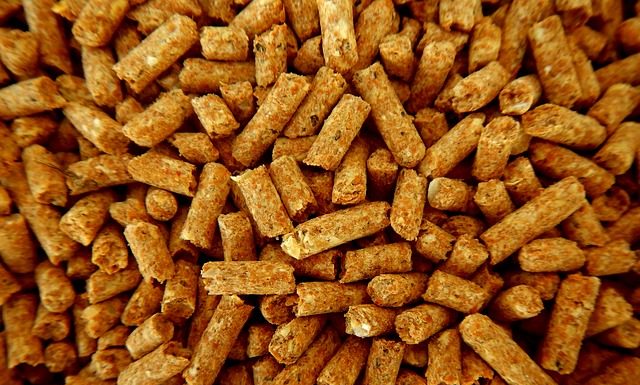 Pellet – paliwo z węgla kamiennego