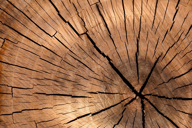 Z jakiego drewna robi się łyżki?