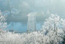 Domy na sprzedaż w Szczecinie