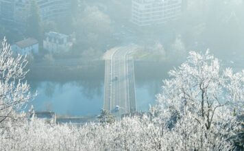 Domy na sprzedaż w Szczecinie z widokiem na Odrę – czy warto zainwestować w nieruchomość z panoramą na wodę? Domy na sprzedaż w Szczecinie